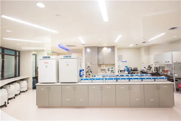 IVF實(shí)驗(yàn)室設(shè)計(jì)探討
